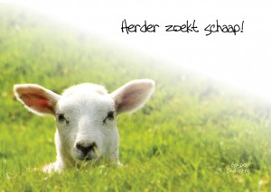 MA10039 Gospel Oneliner Herder zoekt schaap