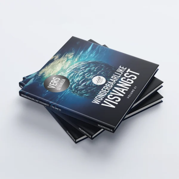 WONDERBAARLIJKE VISVANGST  - VOLUME 01 - Afbeelding 3